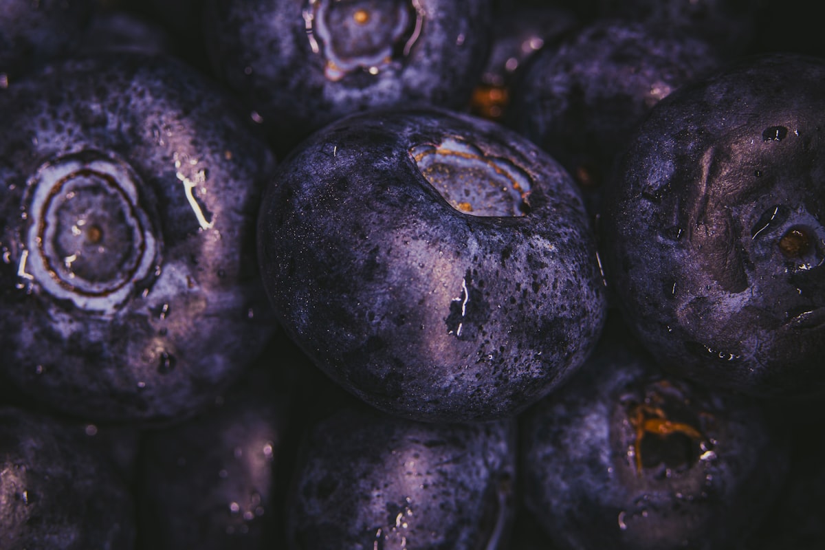 Acai bobule